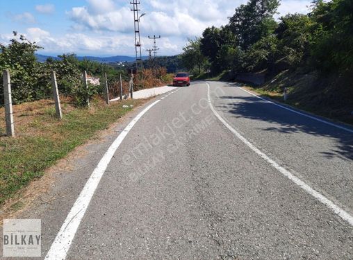 Perşembe Beyli De Satılık Deniz Manzaralı Arsa.