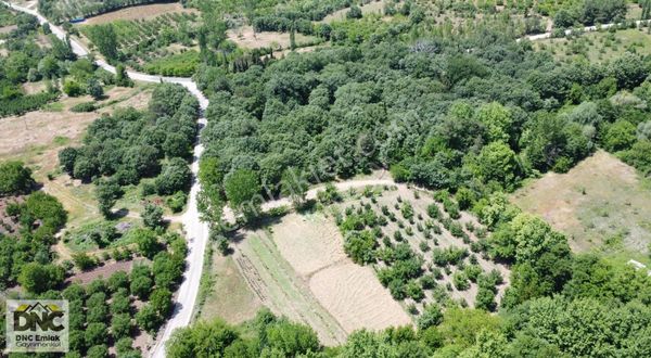 Ç.KALE BAYRAMİÇ TONGURLU KÖYÜNDE DERE KENARI BAHÇE