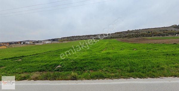 ESKİŞEHİR SAZOVADA SATILIK 2.242 M2 KONUT İMARLI ARSA