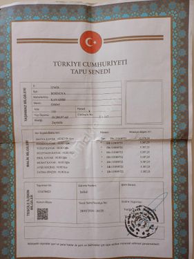 sahibinden zeytinli tarla