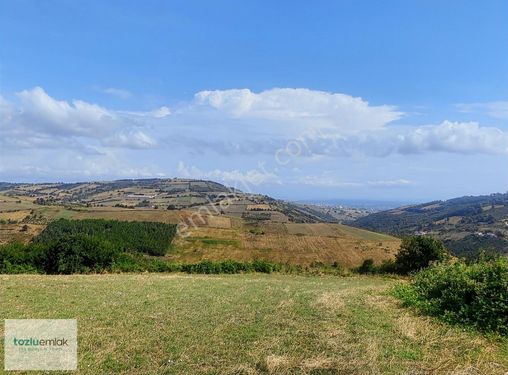 TOZLUEMLAK'TAN KURUGÖKÇEDE 7590M2 EV YAPILABİLEN TEK TAPU TARLA!