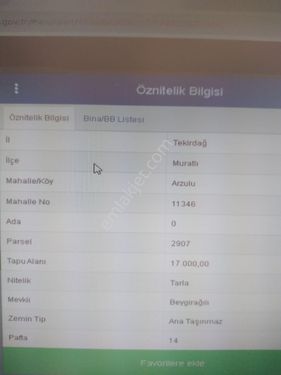  MURATLI  ARZULLU  KÖYÜ  BEYGİRAĞILI  MEVKİNDE  17.000.M2 LİK TARLA  SATILIKTIR