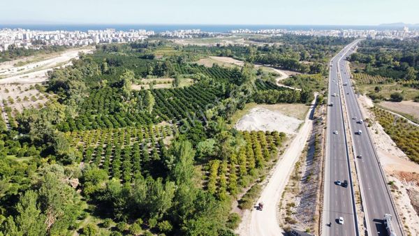 ANTALYA KONYAALTI ZÜMRÜT DE 1466 M2 RIZAİ TAKSİMLİ 