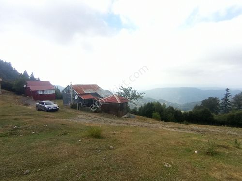 SAKARYA HENDEK DİKMEN KÖYÜ YAYLA EVİ