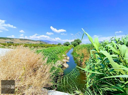 Selçuk'ta Satılık Tarla