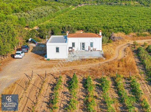 ÇANAKKALE BOZCAADA HABBELE MEVKİİ'NDE SATILIK BAĞ EVİ