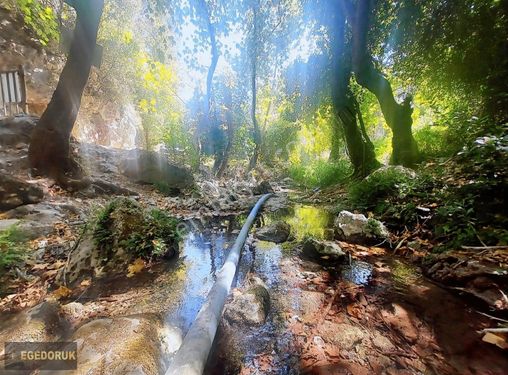 KEMALPAŞA ÇİNİLİKÖY SINIRI İLE NAZARKÖY ARASI MUHTEŞEM KIRAZLIK