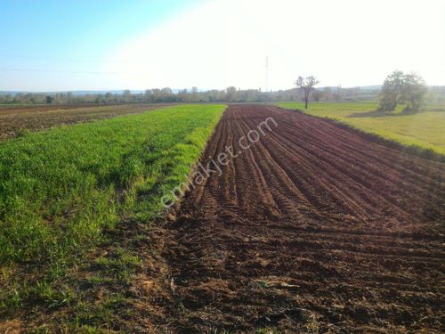  Çanakkale/Gelibolu'nda harika 10 dönüm satılık arsa