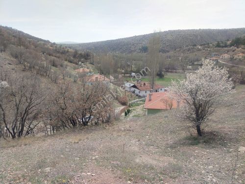 BAŞKENT ANKARADA FIRSAT ÇUBUK MEŞELİ KÖYÜNDE 7 DÖNÜM SATILIK ARAZİ