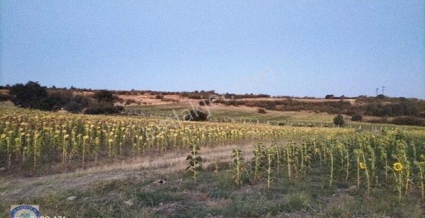 Kırklareli Merkez Yündalan Köyü'de Satılık Tarla