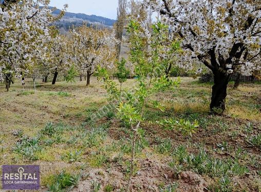 RESİTAL LOCA DAN KELES AKÇAPINAR KÖYÜNDE YERLEŞİME YAKIN HOBİ BA