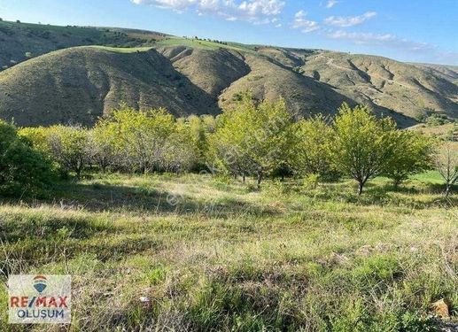 Ankara Akyurt Kalaba Mahallesinde Merkeze Yakın Satılık arsa