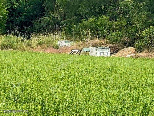  KARACASU ÇAMKÖY MAHALLESİNDE SATILIK ASFALTA SIFIR SATILIK BAHÇE 