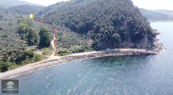 MUDANYA / TRİLYE'DE ,SAHİLE 440m KADASTRO YOL ,BÖLGESİNDE TEK