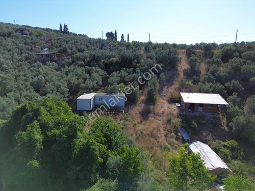  Mudanya Trilye'de Deniz manzaralı Hobi Bahçesi