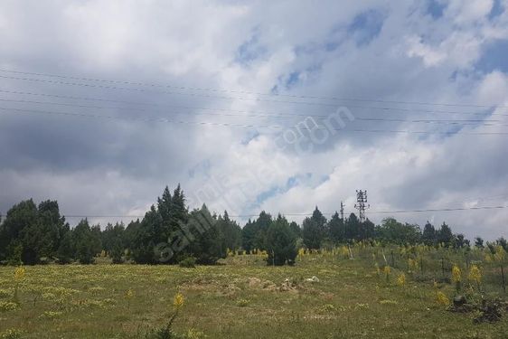  HEDEF'TEN ARSLANKÖY GİRİŞİNDE ANA YOL BİTİŞİĞİ 2.914 M2 ARSA