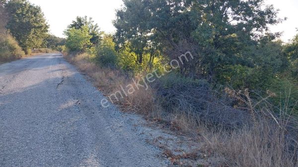 Canakkale Ayvacık Akçin Köyünde Tarla Köy Asfaltına Sıfır Başaran Emlak