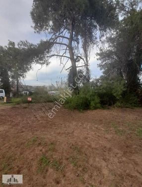 SORKUNDA DENIZ TARAFI 3KAT IMARLI SITE VILLA ARSASI