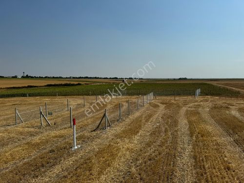 Tekirdağ Saray Demirler 305 M²yerim 3 Adet Kaldı Tanesi 330 Bin Tl Direkleri Dikili Çap Mufakatname