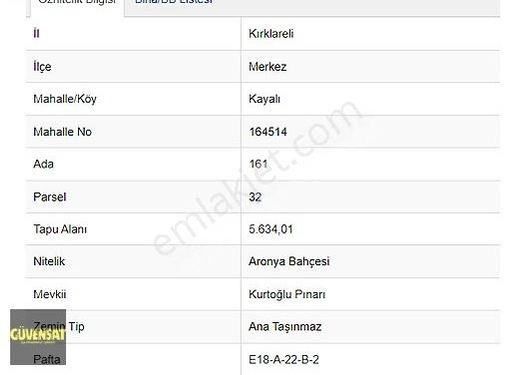 ÜNİVERSİTENİN BULUNDUĞU KAYALIDA SATILIK ARONİA BAHÇESİ