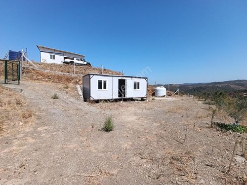 Seferihisar Ulamış Yolunda, Yatırım Fırsatı! Panoramik Manzaralı 1700 m² Zeytinlik Arsa