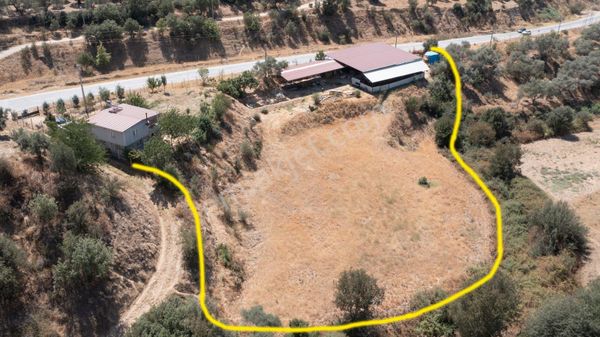 Beydağ’da Satılık Tarla ve Zeytinlik 3310 m