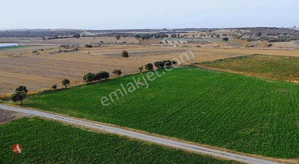 Çanakkale Merkez, Halileli Köyü, 7.000 m2 Satılık Arazi