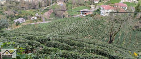 Rize fener Mahallesi'nde Muhteşem manzarlı Satılık Arsa