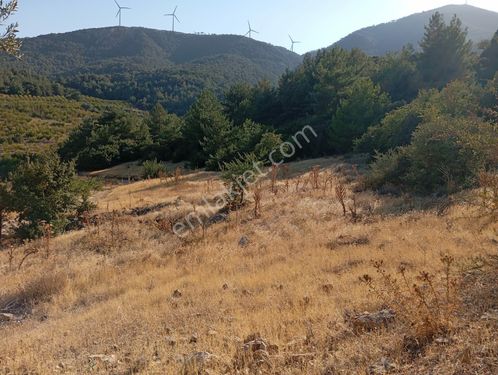 MANISA ŞEHZADELER SANCAKLI İĞDECİK MAHALLESİNDE SATILIK TARLA 