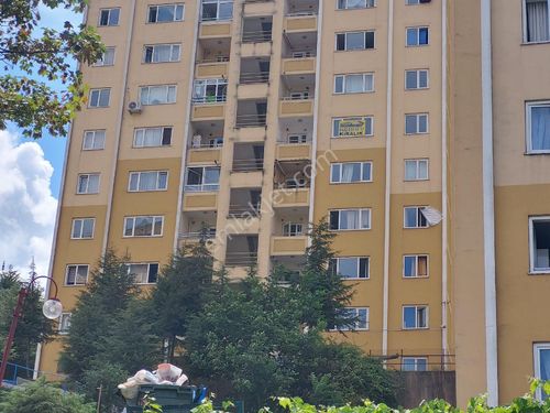 AKÇAKOCA C BLOKLARDA ARAKAT 3+1 KİRALIK DAİRE 