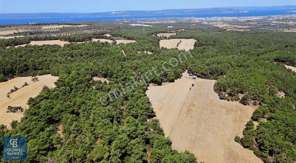 ÇANAKKALE MERKEZ ÇINARLI'DA SATILIK TARLA