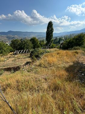 ARSLANKÖY MERKEZ'DE YATIRIM ARAZİSİ