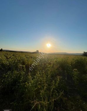 ÇANAKKALE MERKEZ ÖZBEK TE DENİZE 250 METRE MESAFEDE HOBİ BAHÇESİ