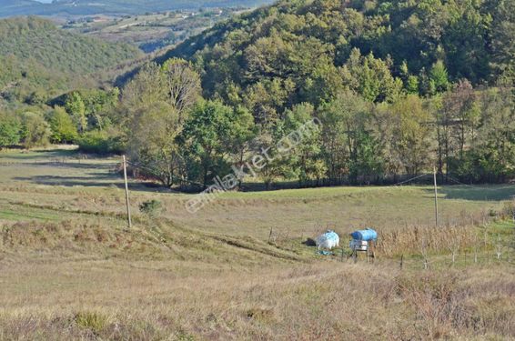  KOCAELİ GEBZE DURAKLI KÖYÜ'NDE 2.750 M2 YOLA CEPHE SATILIK TARLA