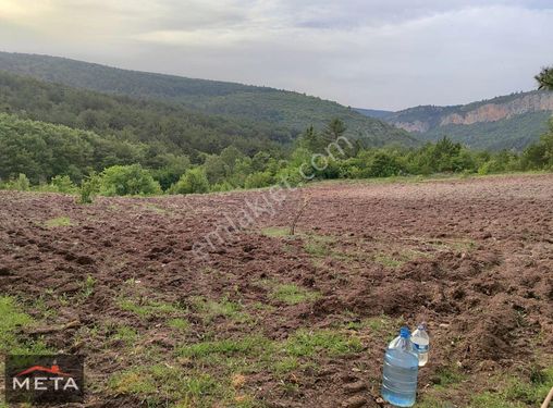 YUSUF'TAN GÖLPAZARI ÇUKURÖREN KÖYÜNDE SAT.20 DÖNÜM TARLA