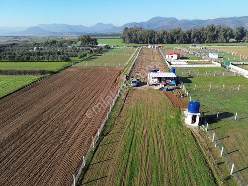  Menderes Bulgurca Kadastrol Yolu Olan Yatırım Değeri Yüksek 1405 m2 Tarla