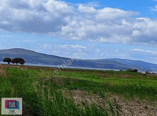 ÇANAKKALE MERKEZ ÖZBEKTE SATILIK TARLA VASFINDA ARAZİ