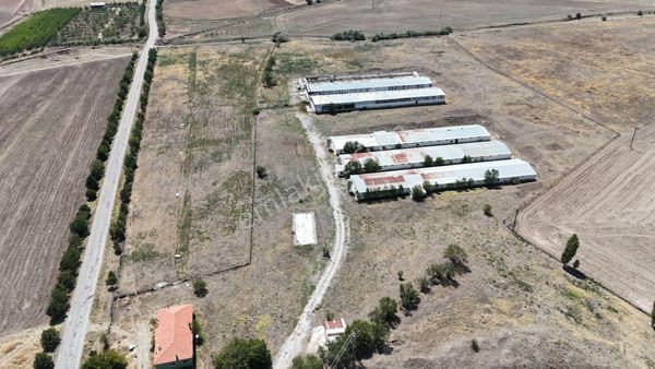 Ankara Elmadağ Takasa Açık 117.181 M2 Satılık Tavuk Çiftliği