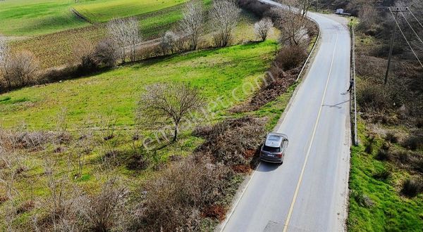 KAYNARCA SARIBEYLİ MAH. 7239M2 ASFALT KENARI ORMANLA İÇİÇE ARSA