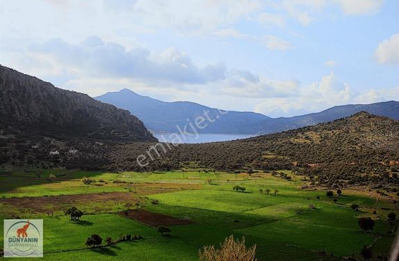 KALKAN'DA FRENK KOYUNA 410m MESAFEDE SATILIK ARSA