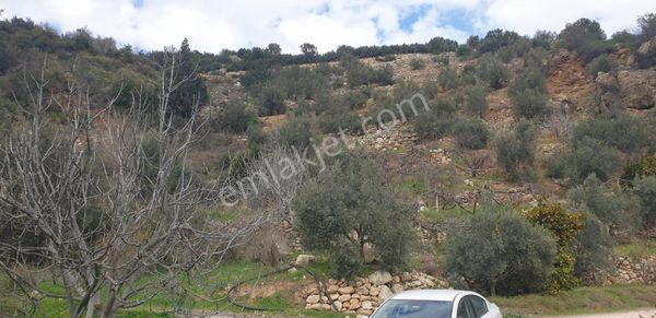 Silifke Kebende Bahçe Olmaya Müsait Satılık Tarla