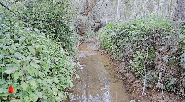 Başarakavakta Dere Kenarı ve Yolu Olan 3068m2 Satılık Bahçe Yeri