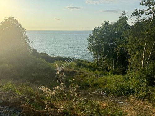  WİSREM'DEN AKÇAKOCA'DA DENİZE SIFIR VİLLA İMARLI SATILIK ARSA