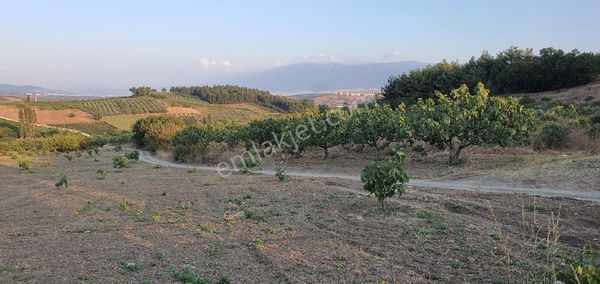 Aksungur Da Yatırımlık Tarla