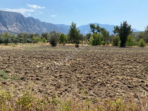 ARAS EMLAK'tan Seydikemer kayadibinde satılık tarla