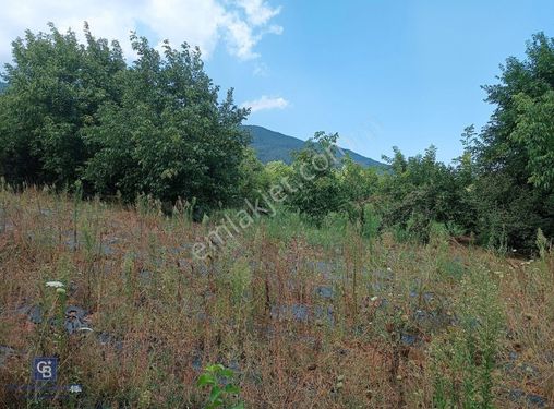 Kemalpaşa Yukarıkızılca Satılık Yol Ve Su Olan Bağ Bahçe