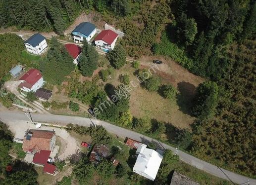 Emlakgrup'tan Dikmen'de Satılık 2165m2 İmarlı Arsa