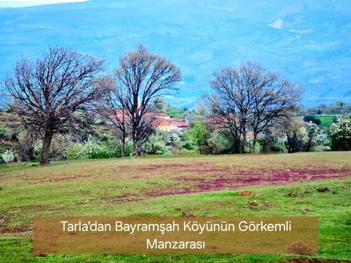 Manisa Demirci Bayramşah'da 3.085 m2 Uygun Tarla. Köye 500 Metre Yakın. Açıklamayı Okuyarak Arayınız