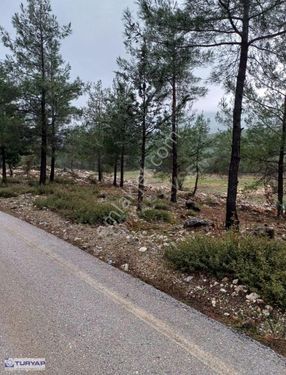 Burdur, Bucak 7 Dölüm Satılık Tarla Peyzajı Yapılmış