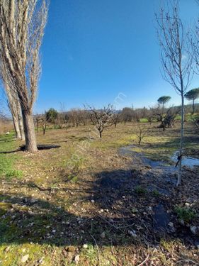  ÇANAKKALE LAPSEKİ UMURBEY ...İMARLIK POZİSYONUNA YAKIN BİR KONUMDA SATILIK BAHÇE